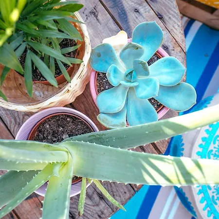 Appartamento The Kalifornia I Stilvoll Mit Urlaubsfeeling I Dachterrasse I Klima Karlsruhe Esterno foto