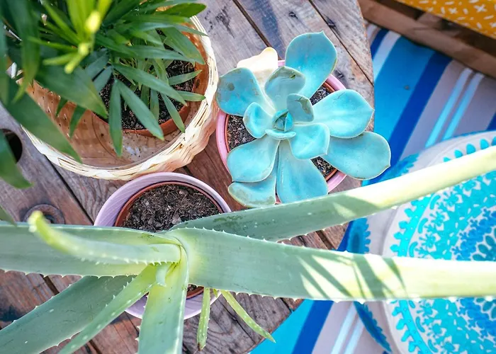 The Kalifornia I Stilvoll Mit Urlaubsfeeling I Dachterrasse I Klima
